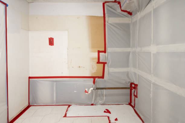 Best Mold Remediation for Healthcare Facilities  in USA